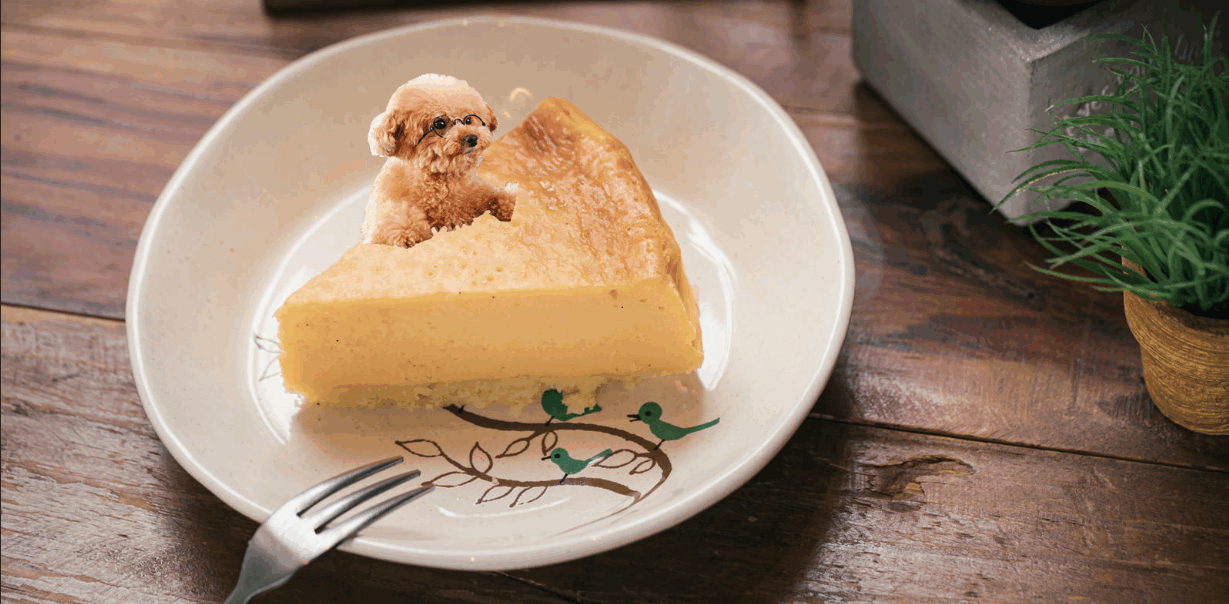 Nanami’s Portfolio